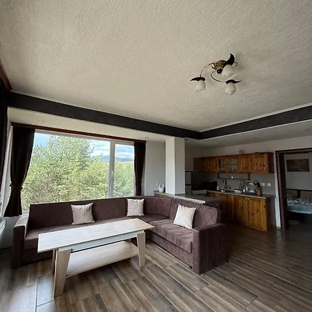 слънчев бряг